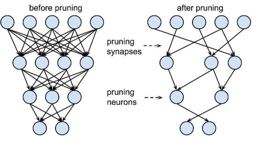 pruning